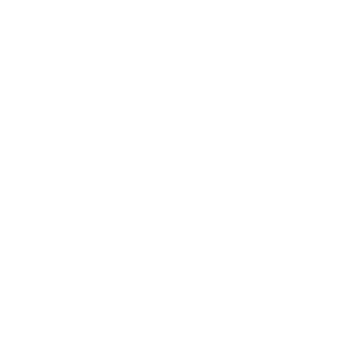 Car loans shield icon white